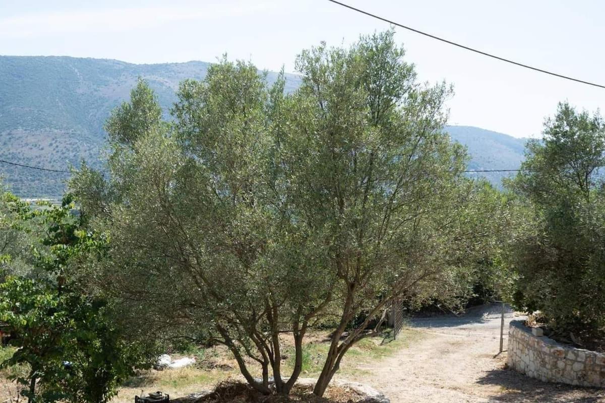 Catherine'S House Igoumenitsa Exterior photo